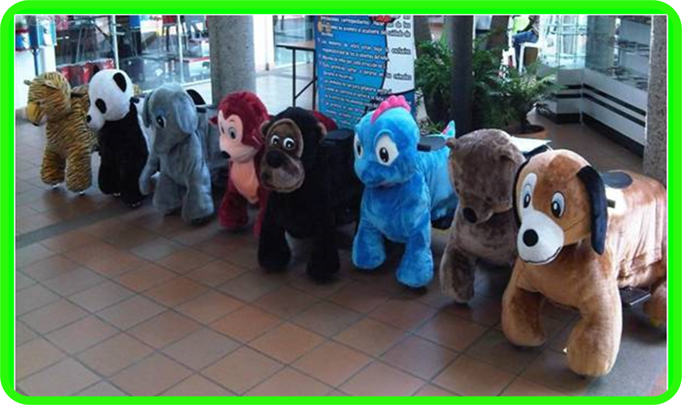 Animales Paseadores